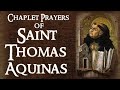 CHAPLET PRAYERS OF SAINT THOMAS AQUINAS