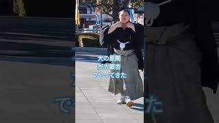 大の里関が大銀杏でやってきた　#一月場所 #相撲 #sumo #両国国技館 #sumida #tokyo #墨田区