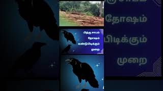 பித்ரு சாபம்  தோஷம்  கண்டுபிடிக்கும் முறை