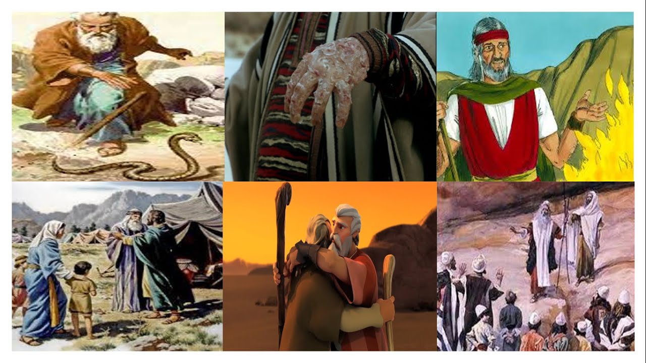 Exodo Capitulo 4 Youtube