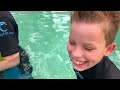 We Played and Swam with Dolphins (Bahamas) II Ninja Kidz TV