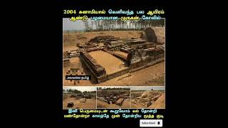 2004 இல் சுனாமியால் வெளிவந்த #tending #tamil #trendingfeed #amazingfacts