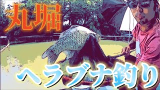 丸堀へらぶな釣り！釣りすぎると一枚の価値を忘れてしまいますね、、、