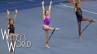 Bungee Cord Gymnastics | Resistance Training | Whitney Bjerken Bungee Cord Gymnastics | Resistance Training | Whitney Bjerken