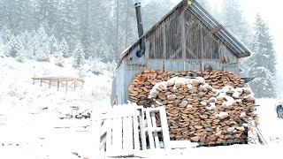 AMAZING $300 OFF GRID CABIN for Winter