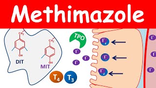Methimazole 5 mg tablets for thyroid