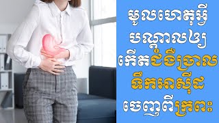 មូលហេតុ​អ្វី​បណ្ដាល​ឲ្យ​កើត​ជំងឺ​ច្រាល​ទឹក​អាស៊ីដ​ចេញ​ពី​ក្រពះ? || គន្លឹះសុខភាព || healthy tips