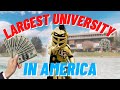 How Expensive is UCF? | Tuition, housing, food, etc.