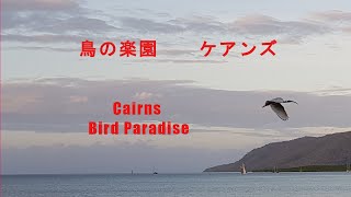 【Cairns】Bird Paradise 【ケアンズ】鳥の楽園