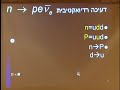 פרופ עילם גרוס החיפוש אחרי