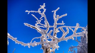 Bílé Karpaty Velká Javořina  18.12.2022