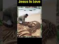 jesus is my love ❤️💚🧡 jesus fé edit yeshu deus