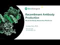 Recombinant Antibody Production: Novel Antibody Generation Platforms