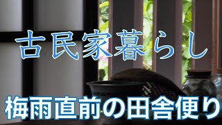 #29九州田舎暮らしblog　梅雨入り直前の様子//大好きな番組、ブリティッシュベイクオフ//庭のラズベリー