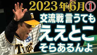 【6月ええとこ集①】何やかんや言うてもええとこいっぱいあるんよ！これ見て明日からも精一杯応援しよやないか！阪神タイガース密着！応援番組「虎バン」ABCテレビ公式チャンネル