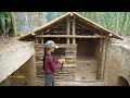 Girl Solo Living Off Grid, Build a Complete Warm Underground Dugout Home Shelter for Fortnight Stay