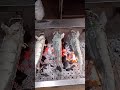 Special grilled fish #foodshorts #shorts #cooking