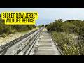 Visiting The Cape May National Wildlife Refuge