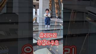 파워N 아기의 유리다리 건너기 성공? 실패? #shortsbaby #15개월아기 #유리다리