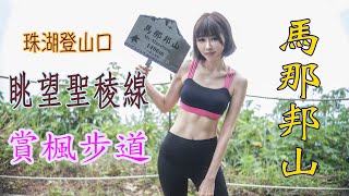 馬那邦山楓葉步道 ｜ 遠眺聖稜線超美展望 ｜ 四季皆美小百岳