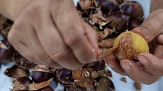 🌰🌰밤 맛있게 삶는법, 알맹이만 쏙쏙 까지게 밤 삶기( 🌰🌰 How to boil chestnuts deliciously, easy peeled off