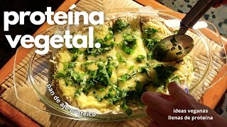 Recetas Llenas de Proteína Vegetal con Ingredientes que Nunca Imaginaste (Veganas y Fáciles) 🥑