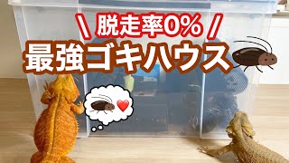 【閲覧注意】脱走率0%の最強ゴキハウス作ってみた…！【ゴキブリ】