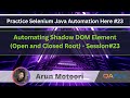 Selenium Java Automation - Practical Demonstration series on different websites(Shadow DOM)- Part 23