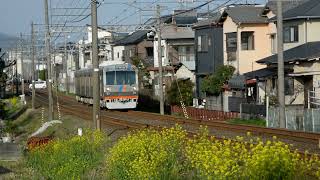 静岡鉄道・1000系・菜の花咲く沿線をゆく4 DSC 0119