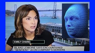 Blake Lemoine Interview - Did Google Create a Sentient Artificial Intelligence?