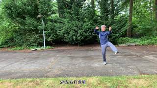 Da Dao Tai Ji Fast Forms 太极拳快架