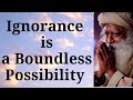 Sadhguru - Ignorance is a Boundless Possibility   Suhel Seth with Sadhguru