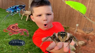 MYSTERY BUG CATCHING BACKYARD ADVENTURE! Caleb PLAYS OUTSIDE BUG HUNT with DADDY and MOM!