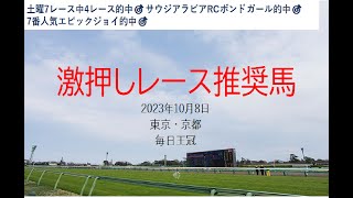 【競馬】毎日王冠　予想　2023年10月8日推奨レース＆推奨馬