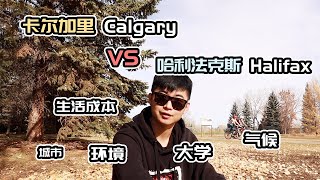 加拿大🇨🇦哈利法克斯VS卡尔加里，全方位对比。为什么我要选择从哈利法克斯搬到卡尔加里生活？