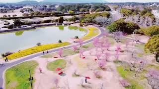 海の中道 海浜公園 福岡。子供広場、花園、動物の森