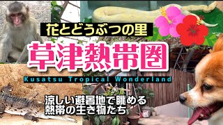 【愛犬と行く旅行 ー群馬・草津ー】草津のどうぶつ園「草津熱帯圏」（Kusatsu Tropical Wonderland）