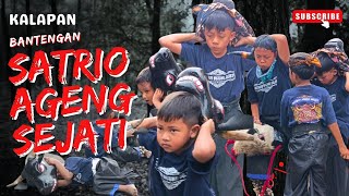 KALAPAN BANTENGAN KIDS SATRIO AGENG SEJATI - LIVE  SEKARPUTIH - KOTA BATU