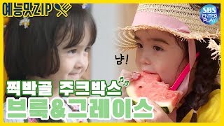 [예능맛ZIP/리틀포레스트] 찍박골 주크박스 브룩X그레이스 노래 모음집 (๑°⌓°๑) / Little Forest