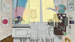 WIP_MSAP x IICD