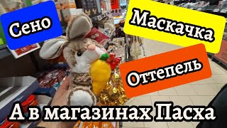 # ✅✅А в Магазинах уже зайцы да яйца #пасха  #vlog #влог  🍒