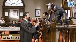 एक बंदर ने की KD पाठक को Case सुलझाने में मदद | Adalat | KD Pathak | अदालत | New Episode