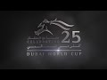 dubai world cup 2019 thunder snow