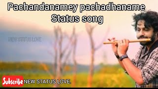 Pachandanamey pachadhaname -Sakhi-Status ||Prachin Nirame|Saathiya|Varun kumar|The wind stories.