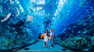Dubai Mall Aquarium & Under water Zoo Complete tour || Shark and Crocodile Aquarium, Museum by shiv.