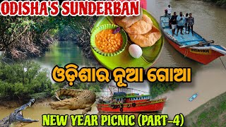 Odisha's Suderban Tour // Complete Goa Experience // New Year Picnic Part 4 // jena Babu Vlogs