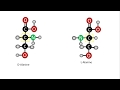 Biochemistry | D-  and L-  Enantiomers of amino acids