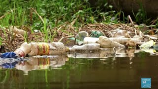 Au Cameroun, une association se mobilise face à la pollution du fleuve Wouri