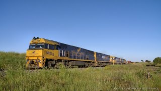 1MP2 Pacific National Steel Wagons \u0026 Mixed Freight (8/11/2020) - PoathTV Australian Trains \u0026 Railway