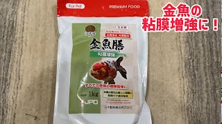 【金魚商品紹介】金魚の粘膜に良い餌！【日本動物薬品株式会社さん】